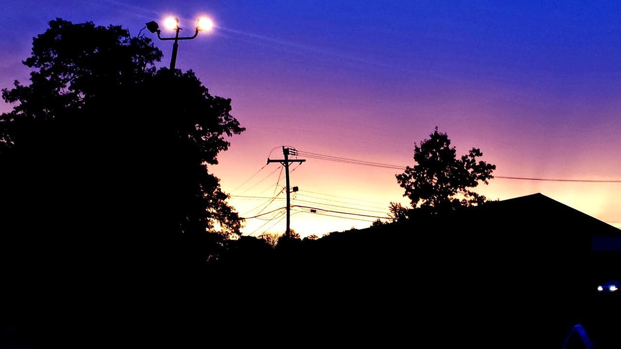 LOW ANGLE VIEW OF SILHOUETTE PLANTS AGAINST SKY AT SUNSET