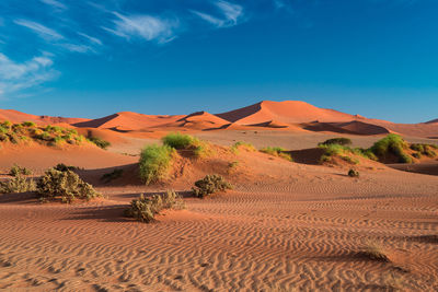 Sand dunes in a desert