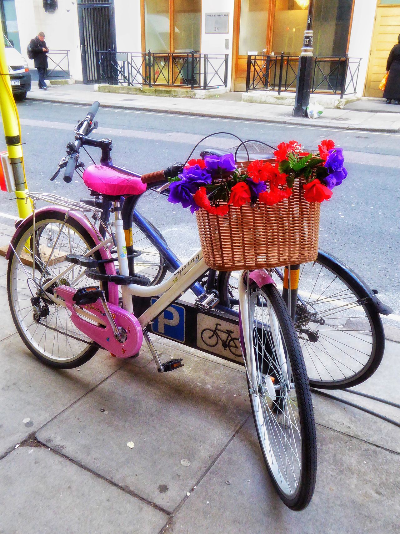 Pretty bicycle