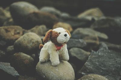 High angle view of dog stuffed toy on rock at field