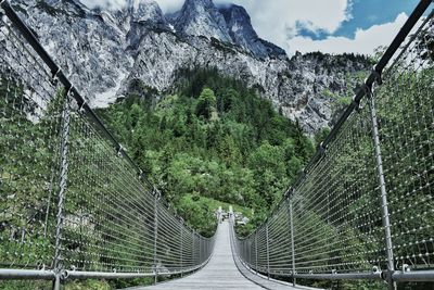Trees in forest against sky
