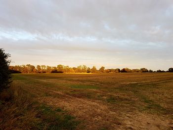 Scenic view of field against sky