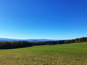 Scenic view of field against clear blue sky