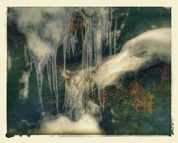 Waterfall in forest