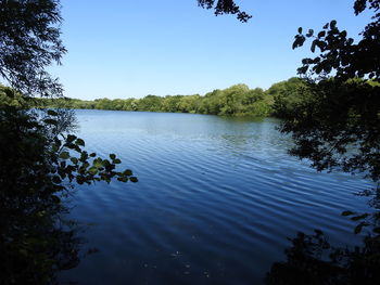 Scenic view of lake against clear blue sky