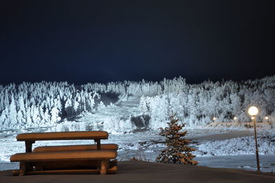 Illuminated snow covered trees against sky at night