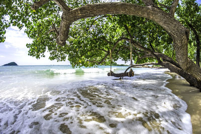 View of bird in the sea