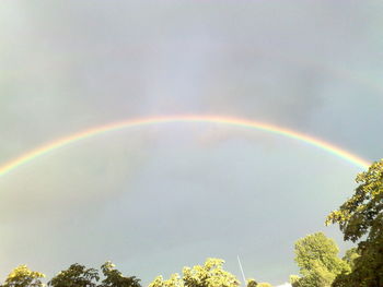 Low angle view of rainbow over trees