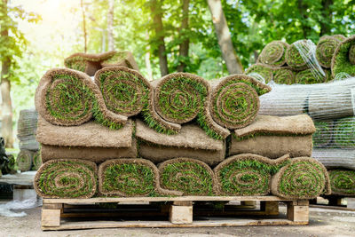 Stack of plants in garden