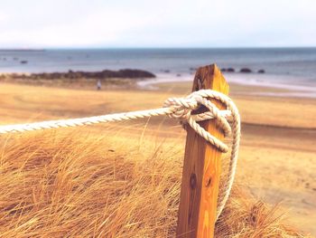 Close-up of rope tied on wooden post at beach against sky