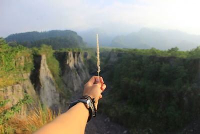 Cropped hand holding dried plant on mountain against sky