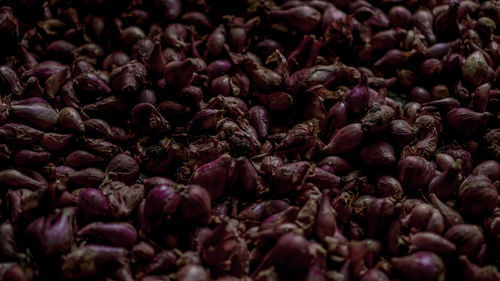 Full frame shot of purple for sale