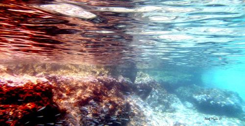 Rocks in sea