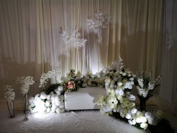 White flowering plants at home