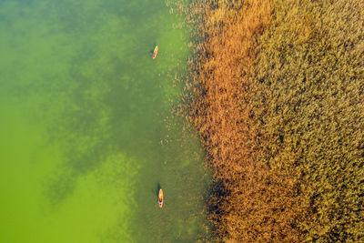 Canoe paddling on vransko lake nature park, croatia
