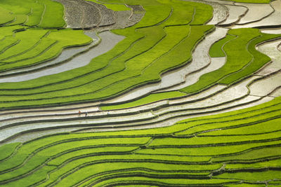 Full frame shot of terraced field