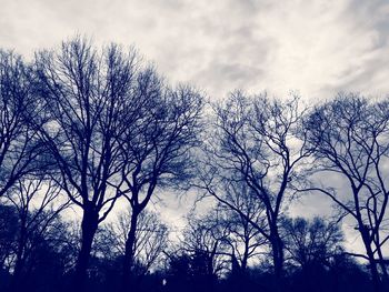 Low angle view of bare tree against cloudy sky