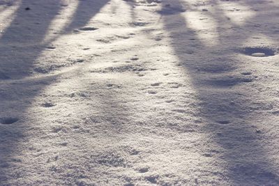 High angle view of tire tracks on sand