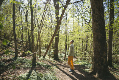 Rear view of woman walking in forest