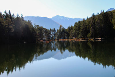 Scenic view of lake by trees against sky