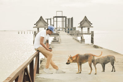 Man looking at dogs while sitting on railing of pier