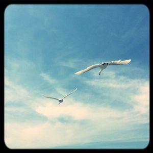 Low angle view of airplane flying against cloudy sky