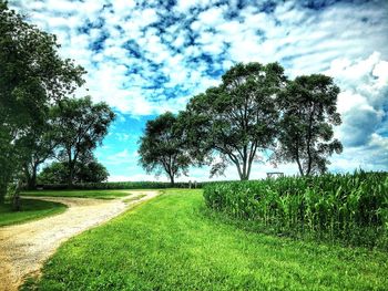 Trees on field against cloudy sky