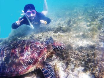 Woman with tortoise swimming in sea