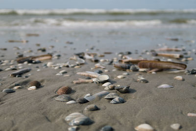 Close-up of pebbles on beach