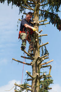 Low angle view of man holding chainsaw while sitting on tree trunk