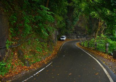 Road amidst trees in forest