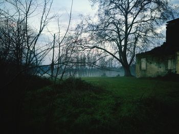 Bare trees on field against sky