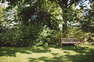 Empty bench in park