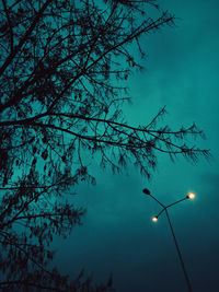 Low angle view of silhouette tree against blue sky