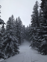 Winter mountain hiking tour to hornle mountains, bavaria, germany