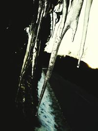 Close-up of frozen water