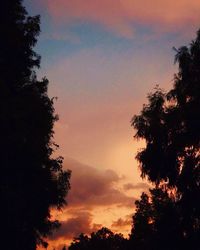 Low angle view of silhouette trees against sky at sunset