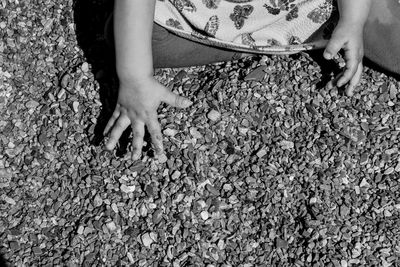 High angle midsection of girl playing with pebbles at beach during sunny day