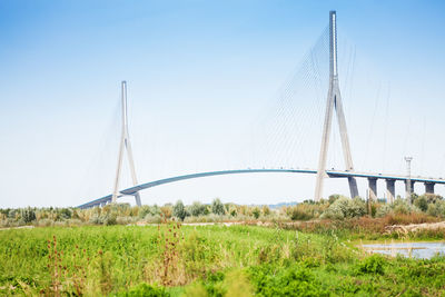 View of suspension bridge in field