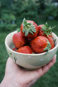 Close-up of hand holding strawberries in bowl outdoors