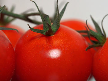 Close-up of red chili peppers on plant