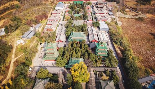 High angle view of trees and plants in city