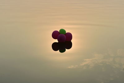 Low angle view of balloons against sky during sunset