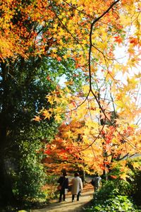 Rear view of people walking in park during autumn