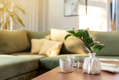 Potted plant on table at home