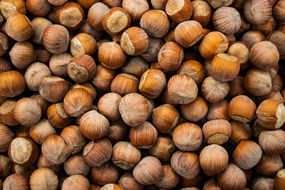 Hazelnuts background. protein source for vegan diet