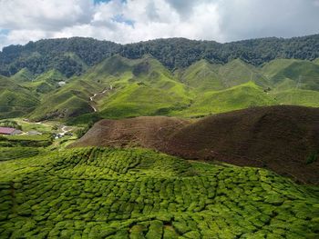 Scenic view of farm against sky