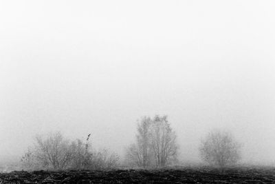 Scenic view of field in foggy weather