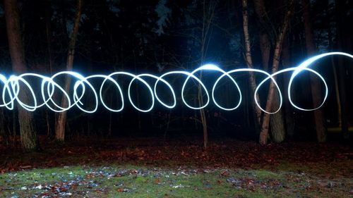 Illuminated trees at night
