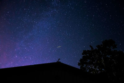 Low angle view of tree against sky at night